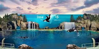The one ocean show, which has been running. Spend Your Summer With New Attractions At Seaworld San Diego Inside The Magic