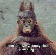 pin on funny