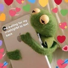 Just Accept My Love And Affection Wholesummemes Hearts Wholesumhearts Crushquotes Happyedits Crushmemes Omgedit Mo Cute Memes Love Memes Affection