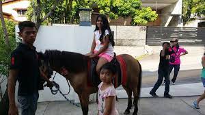 Full service party entertainment for all occasions. T Carnival Annual Dinner Family Day Launching Organiser Kids Birthday Party Planner Malaysia Petting Zoo Services Malaysia Inflatables Bouncy Castle Pony Ride Services Malaysia Rabbit Park Services Malaysia
