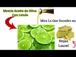Mezcla Aceite De Oliva Con Limon Y Hojas De Laurel Mira Lo Que Sucede Beneficio Para La Salud Y Hojas De Laurel Beneficios Hojas De Laurel Te De Laurel