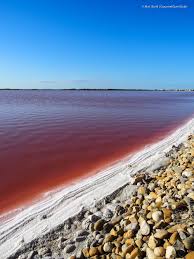 Looking for cheap bus tickets from montpellier to marseille? Travel France Salzernte In Der Camargue Rosa Fleur De Sel Rosa Flamingos Und Rosa Seen So Weit Das Auge Reicht Gourmetguerilla S Foxy Food