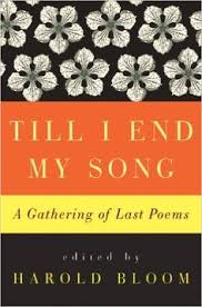 Robot Check Me Me Me Song Poems Songs