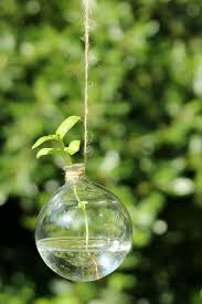 Algunas las venden así y si no te las puedes gracias por ver este tutorial de decoración con plantas colgantes 2021/2022, me gustaria poder llegar a más personas y por eso estaria genial. 28 Ideas De Colgantes Para Plantas Plantas Jardines Decoracion Plantas