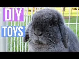 A bored rabbit is more likely to become destructive or even depressed. Diy Rabbit Toys Easy And Free Rabbit Boredom Breakers Lovablelop Youtube
