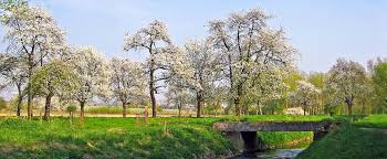People tagged as 'belgium' by the listal community. Belgium Belgique Belgie Belgien Nations Online Project