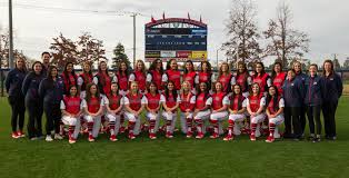 Players with incomplete or no information on a completed roster indicates that the player was not in that season's media guide, the player walked on, the player was on the b/junior varsity squad, or that person was part of the team in some unconfirmed capacity. 2018 Softball Roster Fresno State Athletics