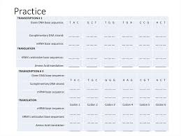 Transcription And Translation And The Genetic Code