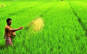 Indian agriculture in hindi को download भी कर सकते है. Who Is A Farmer Government Has No Clear Definition The Hindu