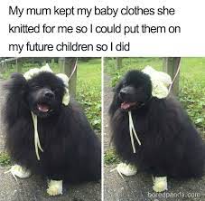 People Who Prefer Pets Over Kids Are Creating Funny Memes That Explain Their Choice Bored Panda
