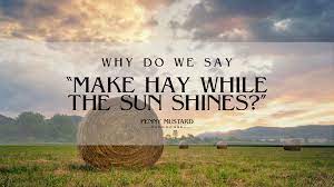 Why Do We Say Make Hay While The Sun Shines Penny Mustard Furnishings