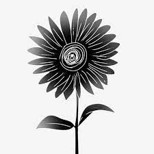 Vektor grafis dari matahari yang berapi api garis seni domain. Gambar Ilustrasi Bunga Matahari Hitam Bunga Matahari Bunga Hitam Menanam Png Transparan Clipart Dan File Psd Untuk Unduh Gratis