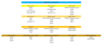 Dod 8140 Certification Chart Best Picture Of Chart