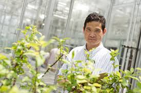 Maybe you would like to learn more about one of these? Nsf Grant Plants Seeds For Building Better Fruit Trees Cornell Chronicle