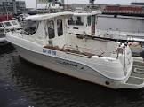 ARVOR-215