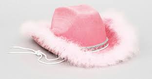 Pink Cowgirl Hat With Marabou Party Themes Party Supply In Stock Pink Cowgirl Pink Cowgirl Hat Cowgirl Hats
