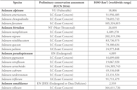 Image result for Solanum memphiticum