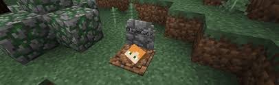 Mcpe box is the no1 place to download maps, mods, addons, textures, seeds, skins for minecraft pe and bedrock engine for absolutely free, at high speed, and . Top 16 Best Mods 1 17 1 1 16 5 For Minecraft Best Minecraft Mods 1 17