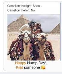 It looks like we don't have any quotes for this title yet. Camel Hump Day Pictures