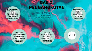Sistem Pengangkutan Dalam Organisma By Nizam Zolkofli On Prezi Next