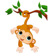 Image result for monkey picture cartoon