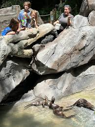 Yellow River Wildlife Sanctuary invests in a river otter exhibit
