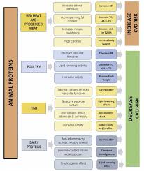 557/2016 din 3 august 2016 privind managementul tipurilor de risc emitent: The Impact Of Type Of Dietary Protein Animal Versus Vegetable In Modifying Cardiometabolic Risk Factors A Position Paper From The International Lipid Expert Panel Ilep Clinical Nutrition