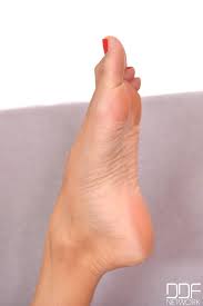 Catanddickxxx feet press against veiny dick