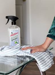 I can also spray it directly onto baseboards, around windows, and use it in the kitchen where we mainly have the pest problem. Aunt Fannie S Cleaning Pest Solution Review Unbound Wellness