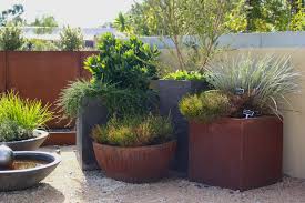 We did not find results for: Picks For Pots Native Plant Project