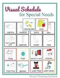 Printable Visual Schedule For Special Needs The Chaos And The Clutter Visual Schedule Special Needs Kids Visual Schedules