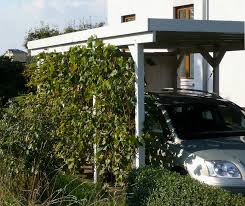 The first thing you need to do when building a carport is create the supports. Carport Greening With Climbing Plants