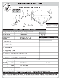 download b c score chart pdfs boone and crockett club dev