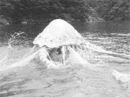 ロイ 台風の次は吸血鬼 お騒がせ怪獣バリケーン 吸血鬼 モノクロ 画像 モノクロ