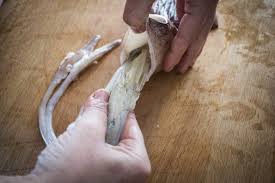 Come pulire correttamente calamari e totani. Come Pulire I Calamari Cucinare Facile