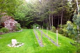 Sep 03, 2020 · many people dream of turning their love of horticulture and fruit growing into a vineyard, and others simply want to start a backyard vineyard to make a few bottles of their own wine. Possible Diy Backyard Vineyard Backyard Vineyard Diy Backyard Vines