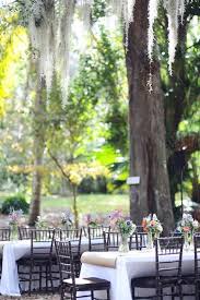 Real Weddings Jeannine And Jared S Florida Park Wedding Intimate Weddings Small Wedding Blog Diy We Park Wedding Reception Park Weddings Outdoor Wedding