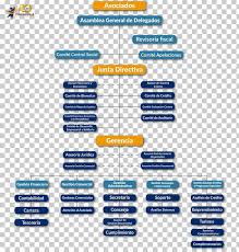 organizational chart empresa micro enterprise correo