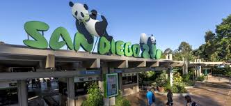 Mgcls has been providing services to all areas in southern california for almost ten years now. Car Service Lax To From San Diego Lax Car Service Mgcls