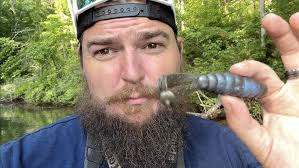 First Impressions Of Gizmo (I think it needs work)