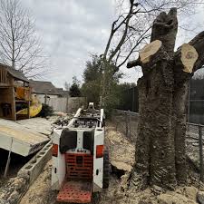 TOP 10 BEST Tree Services in Montgomery, AL - Updated 2026 - Quality &  Affordability - Yelp