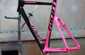 Giant Propel Custom Paint Bicycle Painting Bicycle Paint Job Bike Print