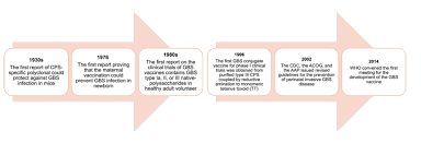 Image result for Group B Streptococcus Prophylaxis