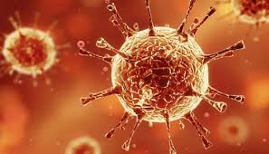 This is how it is going to work. South Australia Plans Six Day Lockdown After Highly Contagious Covid Outbreak World News Zee News