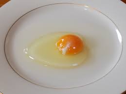 Are egg yolks less healthy than egg whites? Egg White Wikipedia