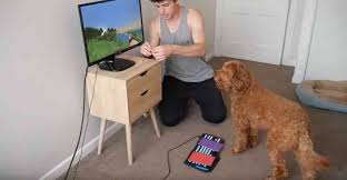 En revanche, si vous avez toujours rêvé de jouer les robinson crusoé dans un environnement virtuel et que vous adorez l'exploration, minecraft peut tout à fait répondre à vos. Le Chien D Un Youtuber Joue A Minecraft Et Explose Le Nombre De Vues