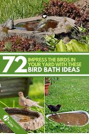 Bird In Bird Bath Drawing 72 Of The Best Bird Bath Ideas For Any Yard 47 Is Super Cool With Images Bird Bath Bird Garden Backyard Landscaping