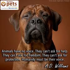 If You Can T Help Them Please Don T Hurt Them Tapeworms In Dogs Dog Boarding Kennels Dog Boarding