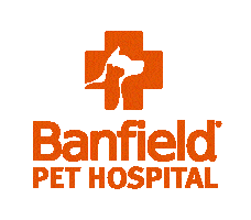 Cat & dog hospital of columbia provides affordable and professional pet care services in columbia, maryland. Associate Veterinarian Columbia Sc Job At Banfield Pet Hospital Monster Com