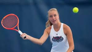 Image result for Emilia libeniana